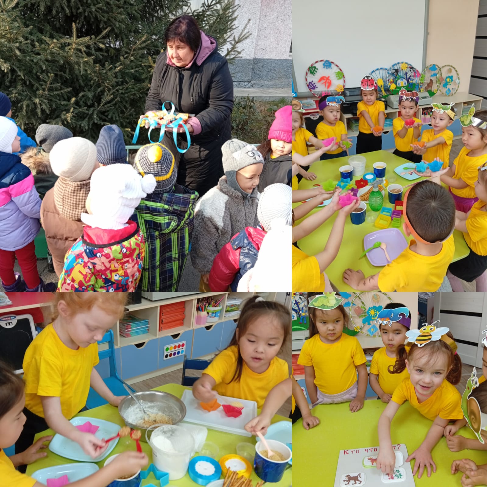 КО кормушки для птиц.